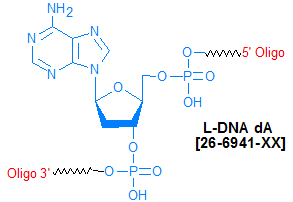 picture of L-DNA dA